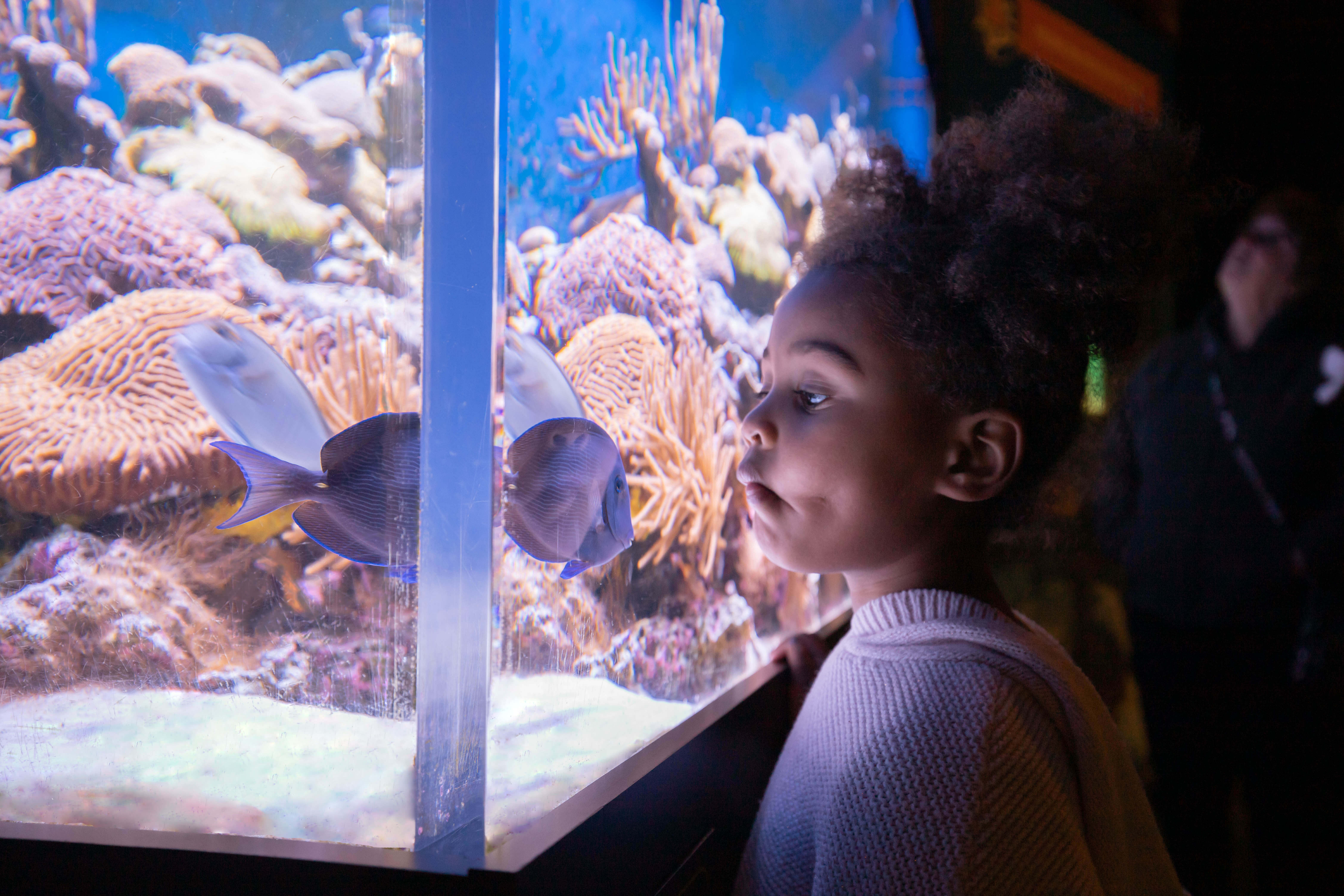 Mote Aquarium welcomes visitors of all ages.