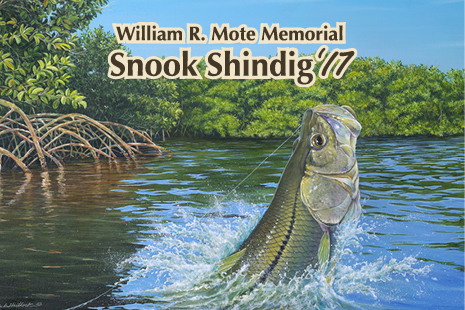 Registration now open - 2017 William R. Mote Memorial Teach-A-Kid Fishing &  Ecology Clinic and Snook, News & Press