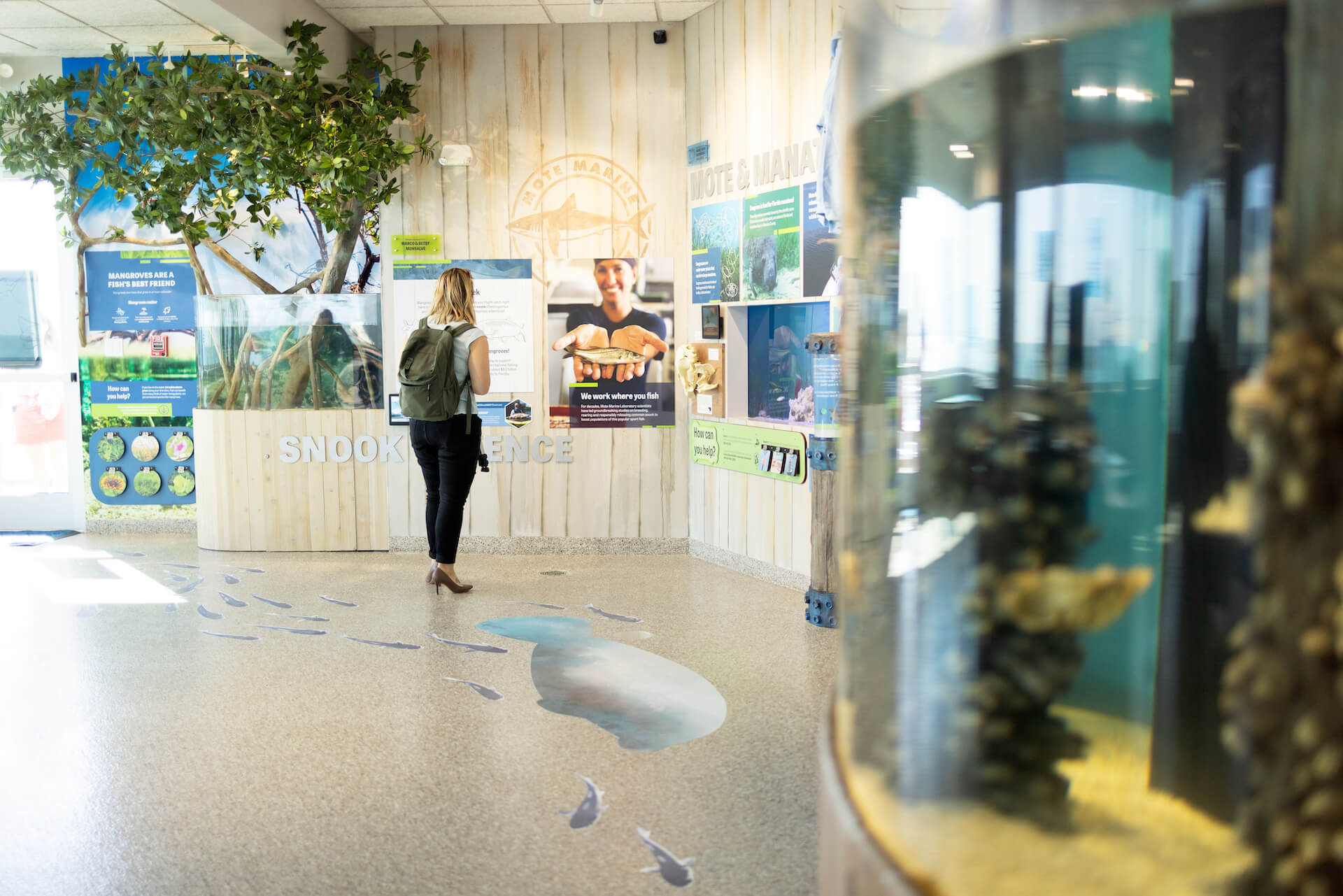 A visitor looks at exhibits featuring snook science at Mote's Marine Science Education & Outreach Center on Anna Maria City Pier