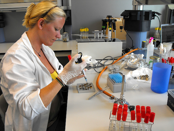 Dr. Andrea Tarnecki studies marine immunology in the lab.
