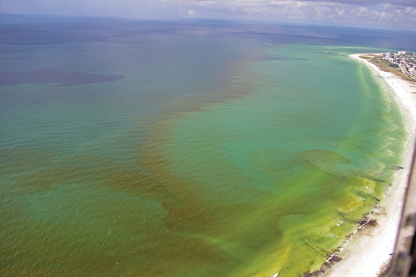 Mote scientists are leading a study to investigate various red tide bloom dynamics including intensity and termination conditions.