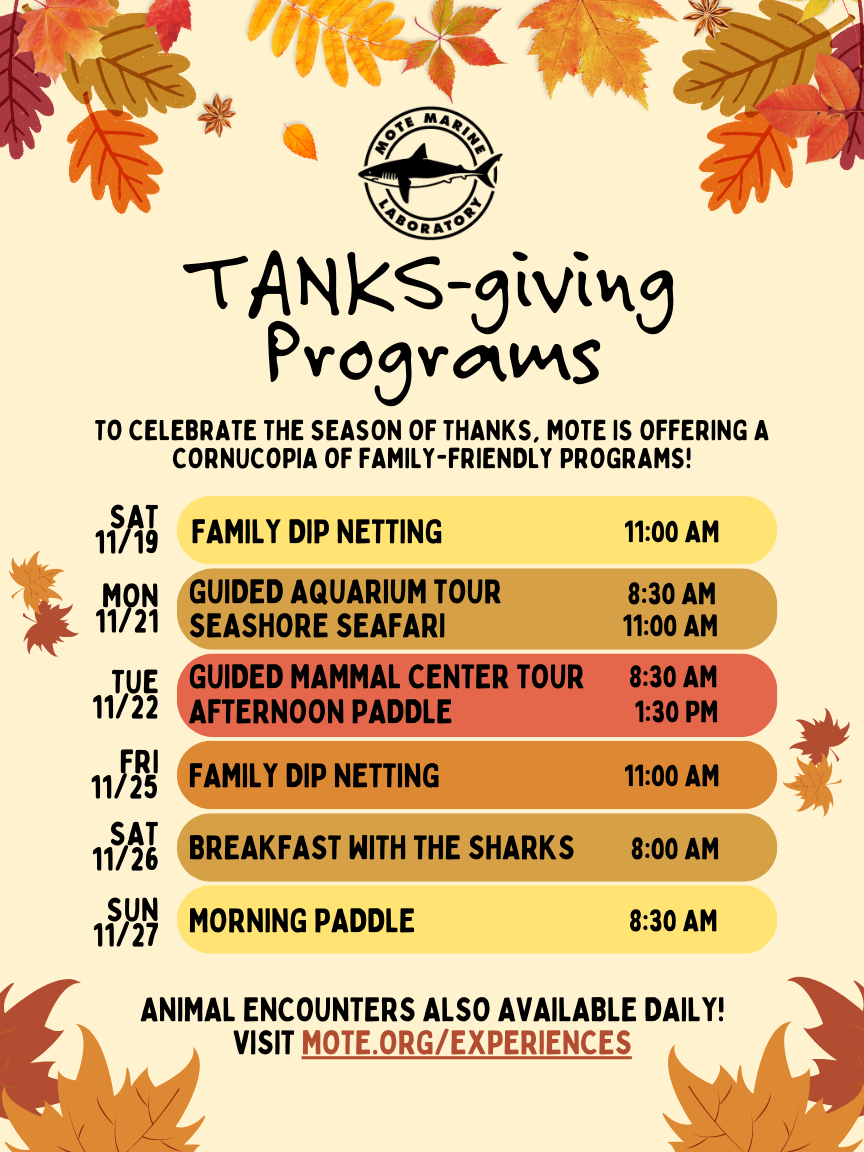 Infographic of above schedule for programs and events happening 11/19 to 11/27.