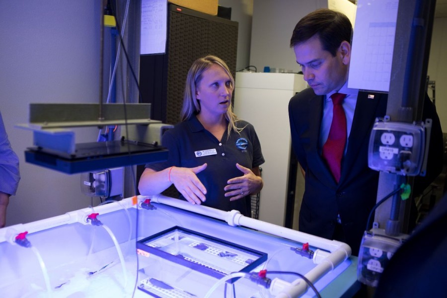 Mote's Dr. Erinn Muller and Sen. Marco Rubio. Credit: Conor Goulding/Mote Marine Laboratory