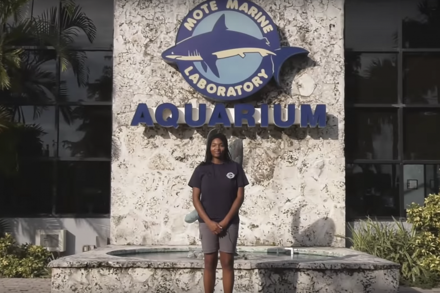 Amanda Hodo, Aquarium Biologist at Mote, is a top-10 finalist in AZA's Find Your Heroes contest