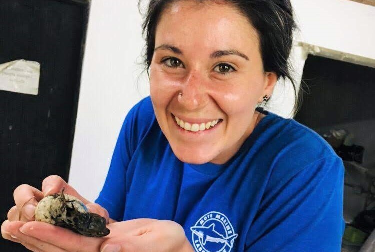 Mote's Veronica Garcia holds the first hatched caiman of the season for Proyecto Yacare. Credit: Evelyn López