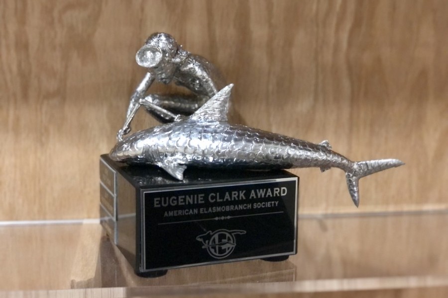 The Eugenie Clark award on display at Mote