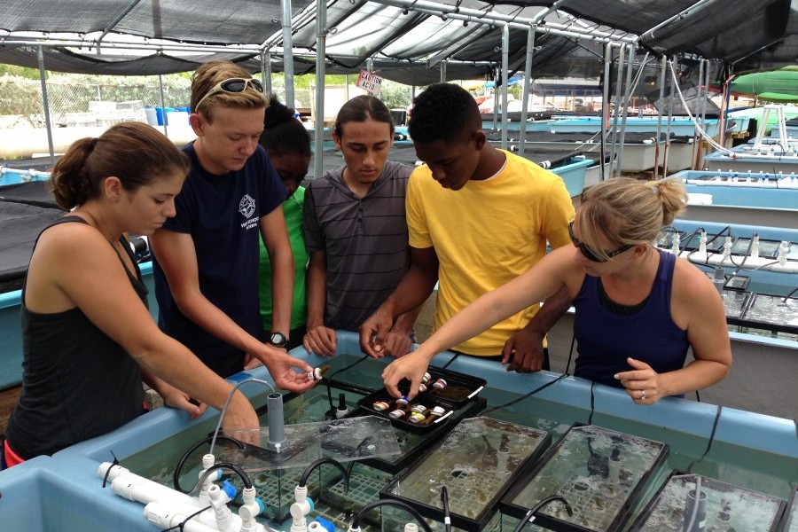 Students from the U.S. Virgin Islands and Florida Keys contribute to coral research at Mote Marine Lab in the Florida Keys. 