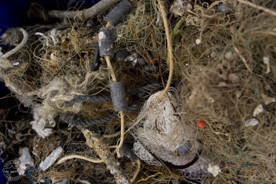 Marine and coastal fishing gear debris. Credit Conor Goulding/Mote Marine Laboratory.