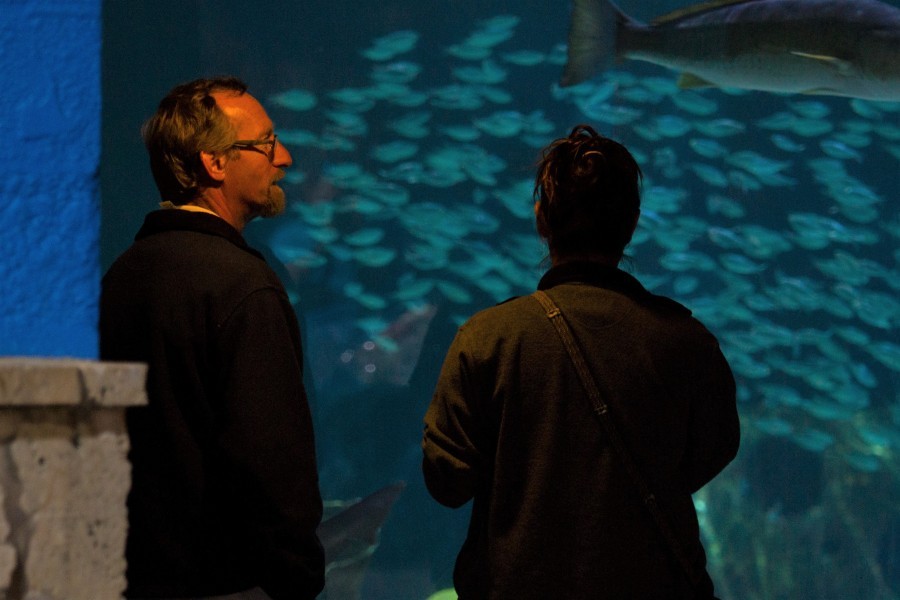 Mike Collins (left) in front of Mote's large habitat for sharks and other fishes