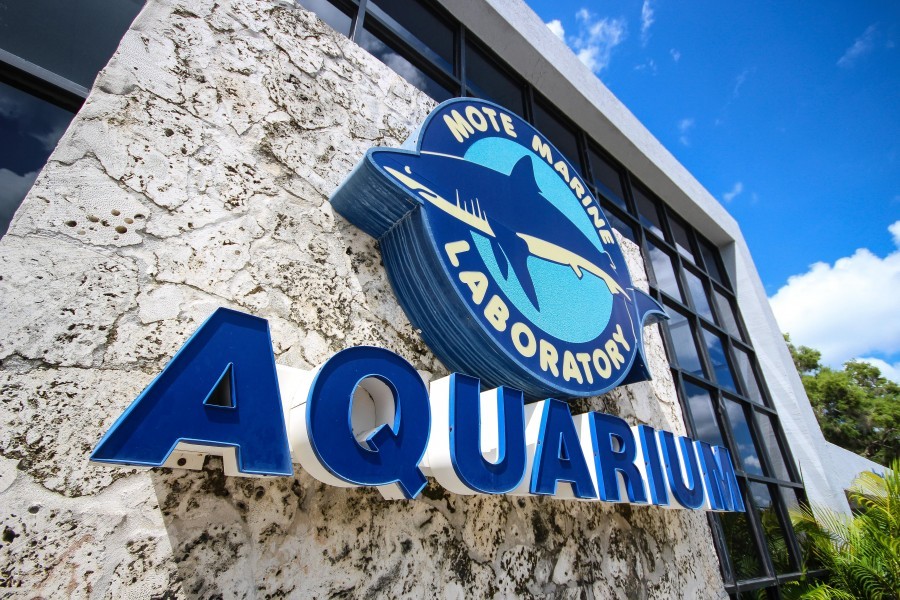 Mote Aquarium entrance. Credit: Conor Goulding/Mote Marine Laboratory