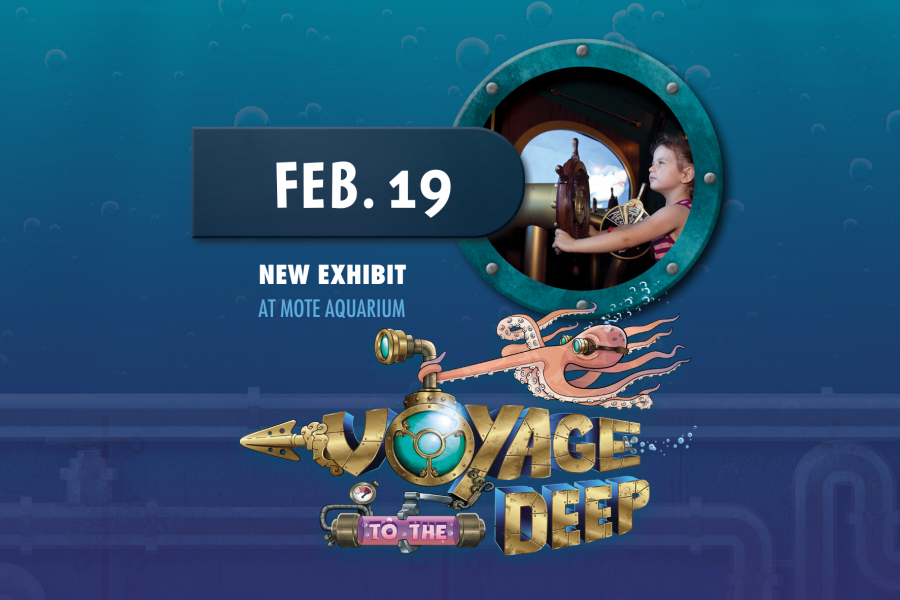 Voyage to the Deep opens to the public on Feb. 19.