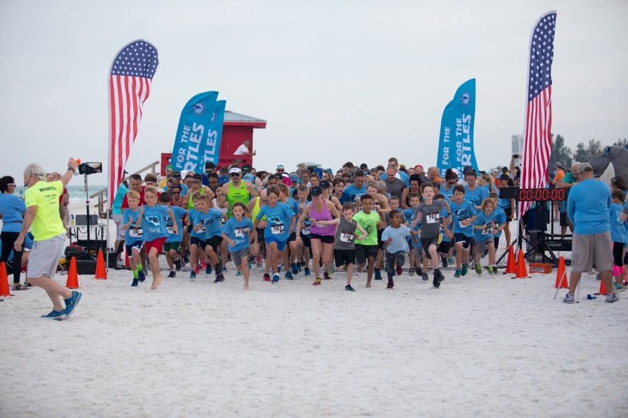 Participants in Mote's Run for the Turtles race past the starting line. Credit: Conor Goulding/Mote Marine Laboratory.