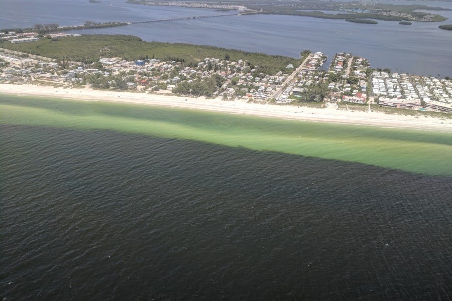 Aerial image of a bloom of Florida red tide in August 2018, taken by Dr. Vincent Lovko, Mote Staff Scientist 