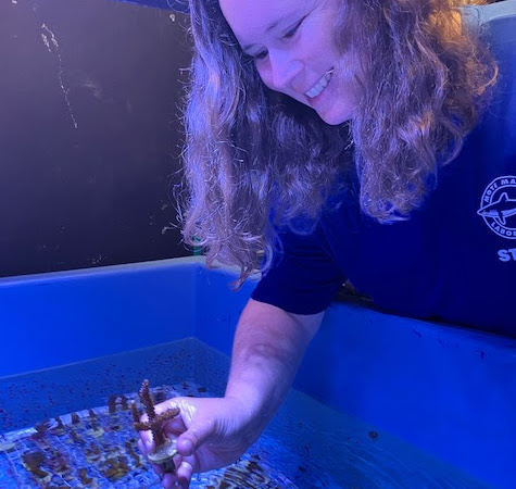 Mote Postdoctoral Researcher and first author on the paper Dr. Sara Williams analyzed the bacteria communities of corals.