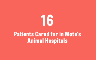 Learn more: mote.org/hospital