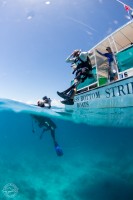 Staff Sgt. Justin Lansford (ret.), 27, of Tampa, takes a giant stride off the boat as he heads out to help plant corals near Looe Key. Lansford was a member of the 82nd Airborne Division.