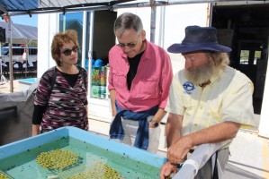 Nancy and Rick Moskovitz, Leadership Donors to Mote Marine Laboratory’s planned new facility on Summerland Key, Fla., join Dr. David Vaughan (right), Executive Director of Mote’s lab on Summerland Key, to view coral fragments growing there on Feb. 18
