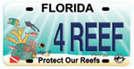 Funding for BleachWatch has been provided by the Protect Our Reefs Program