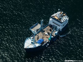 The M/V OCEARCH will carry 11 researchers for two weeks during Expedition Jacksonville. During these two weeks, scientists plan to tag, sample and release white sharks with a purpose of gathering data to further the understanding of the ecology, natu