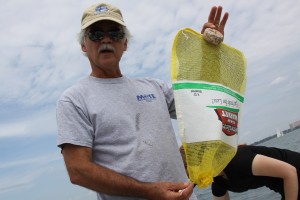 Jim Culter, senior scientist at Mote, holds up a new scallop monitoring device made from a mesh bag formerly used for fresh produce. The bag’s surface is a suitable place for young scallops to settle.