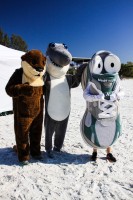 Mote's Ollie the Otter and Gilly the Shark with the Newbalance Newbie