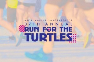 Mote's 37th Annual Run for the Turtles