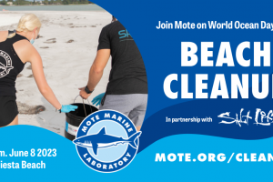World Ocean Day Beach Cleanup 2023