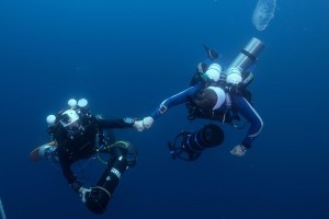 Special Lecture Series: Diving Deep to explore the Gulf of Mexico Blue Holes