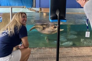 Telepresence WeGo Robot makes visiting Mote Aquarium accessible for hospitalized children