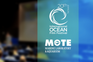 International Ocean Film Festival at Mote
