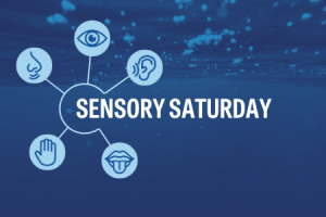 Sensory Saturday at Mote