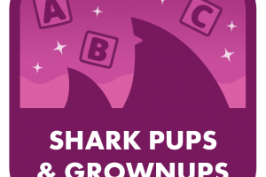 Shark Pups & Grownups