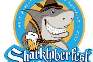 Sharktoberfest 2023