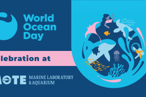 Mote Aquarium World Ocean Day Celebration 2023