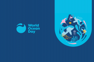 World Ocean Day at Mote