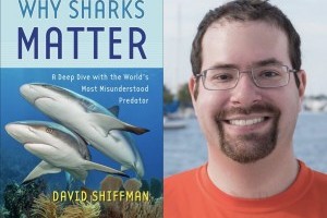 SEA Show: Why Sharks Matter
