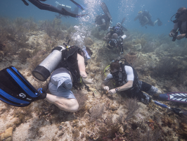 A group of 8 divers restore Looe Key reef by planting coral fragments. Left is retired Staff Sgt. Bobby Dove, a Green Beret in the U.S. Special forces. He swims on his side near the bottom, missing his right leg and arm below the elbow. Right is Billy Costello, retired Sgt. 1st Class of the U.S. Army.