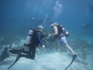 Two divers shake hands underwater indicating a mission well done. Left is Mote President & CEO Dr. Michael Crosby and right is retired Staff Sgt Bobby Dove, Green Beret of the U.S. Special Forces. Half a dozen other divers work in the background.
