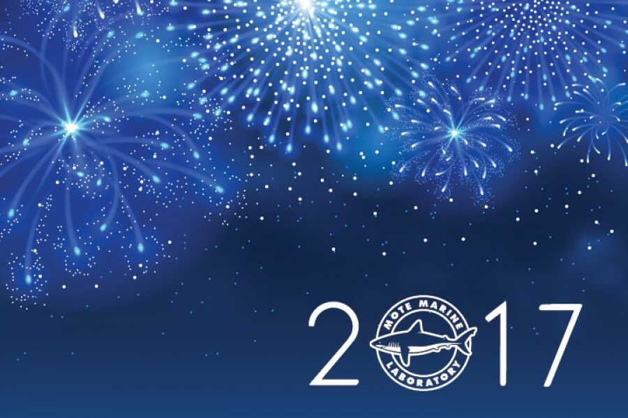 Mote wishes you and your family a happy new year!