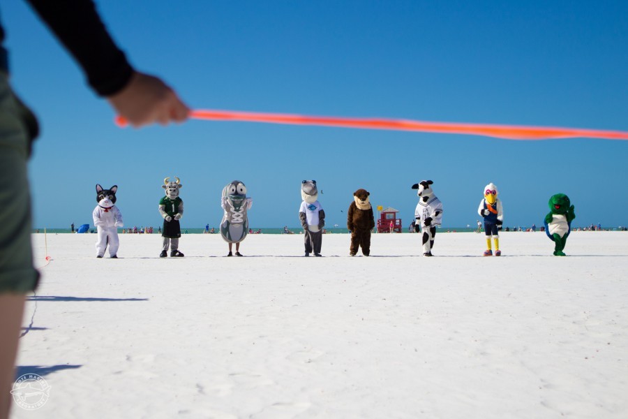 Eight people in full mascot costumes line up to race on the beach in bright sunlight. They are: a slightly spooked looking kitten, a proud bull in a sports jersey, a goofy tennis shoe with large googly eyes, a happy and chill looking shark in a Mote t-shirt, a slightly sad otter, a cow in a baggy shirt doing warm-up stretches, a sea gull in rolled-up overalls and tennis shoes, and a turtle waving at the camera. The finish line is stretched out in front of them.