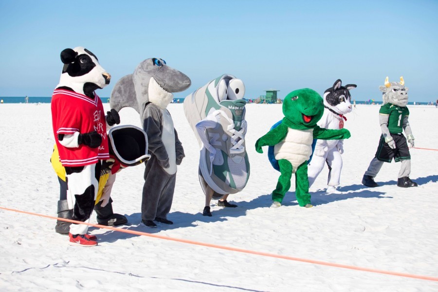 Six people in full mascot costume line up to race on the beach in the bright sunlight. The cow, the shark and the tennis shoe stand casually. The turtle dances. The kitten and the bull square off for a sprint.