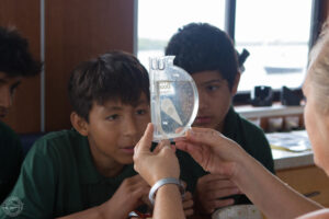 Three boys gather around to read a gauge held by a Mote educator. The gauge is a simple plastic salinity meter for measuring how much salt is in the ocean water. They are in a classroom with microscopes on the tables and large windows looking out on the bay.