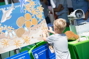 A young boy learns about reef restoration by placing a a felt staghorn coral fragment on a billboard. 
