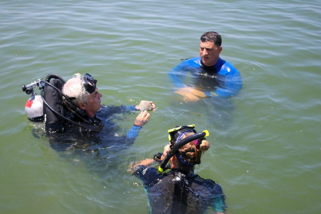Three people in full wet suits stand facing each other in shoulder deep in the bay as they finalize plans for releasing the clams.  Leftmost is Mote Senior Scientist Jim Culter, an older man in full scuba gear, his mask pushed up on his forehead and holding a clam. Bottom left is Sarasota Bay Watch Program Director Ronda Ryan, in snorkel gear. Top right is Brian Jung, maskless.