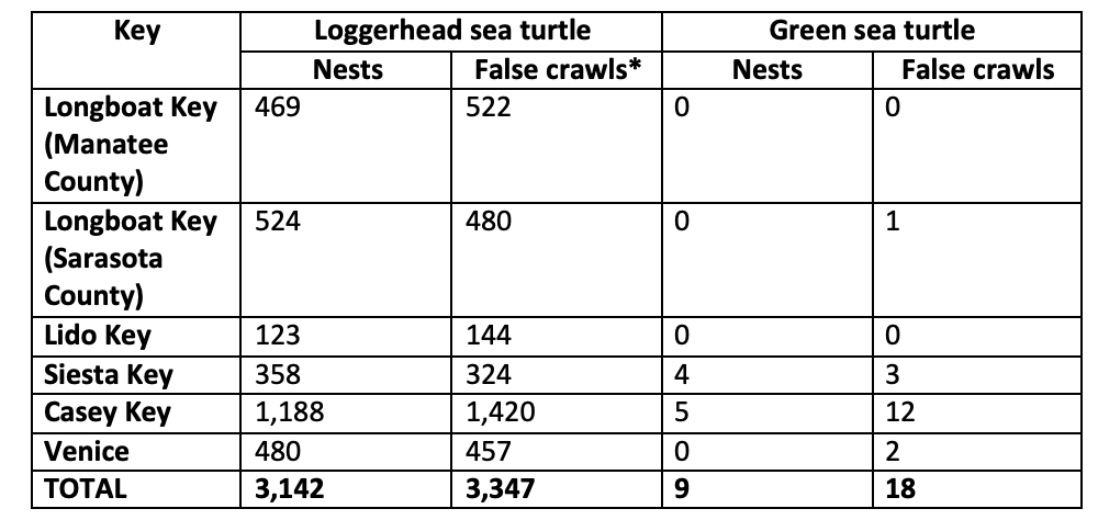 Table showing the total numbers of Loggerhead and Green sea turtle nests for each Key. Casey Key had the most by far, with over 1,000 nests and nearly 1,500 false crawls making up over a third of the total Loggerhead nests in the area. Green turtle nests were far fewer, only 9 total nests and 18 false crawls, but again most of these were on Casey Key.