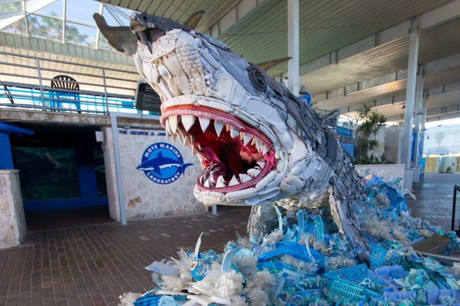 The award wining sculpture is a shark rising out of the waves make entirely of trash. That it is made of trash is not immediately obvious. It has a slightly blocky appearance, as if it is made of legos. On closer inspection much of the body of the shark is revealed to be made from shoe soles and inserts while the waves are primarily plastic fragments and loofahs.
