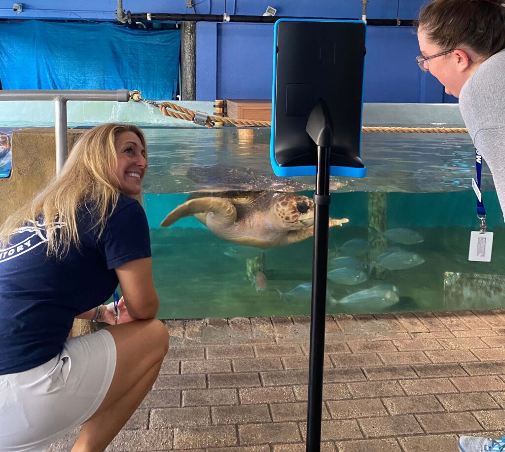 The WeGo robot visits the sea turtle habitat in Mote Aquarium to allow hospitalized children to explore the Aquarium remotely.