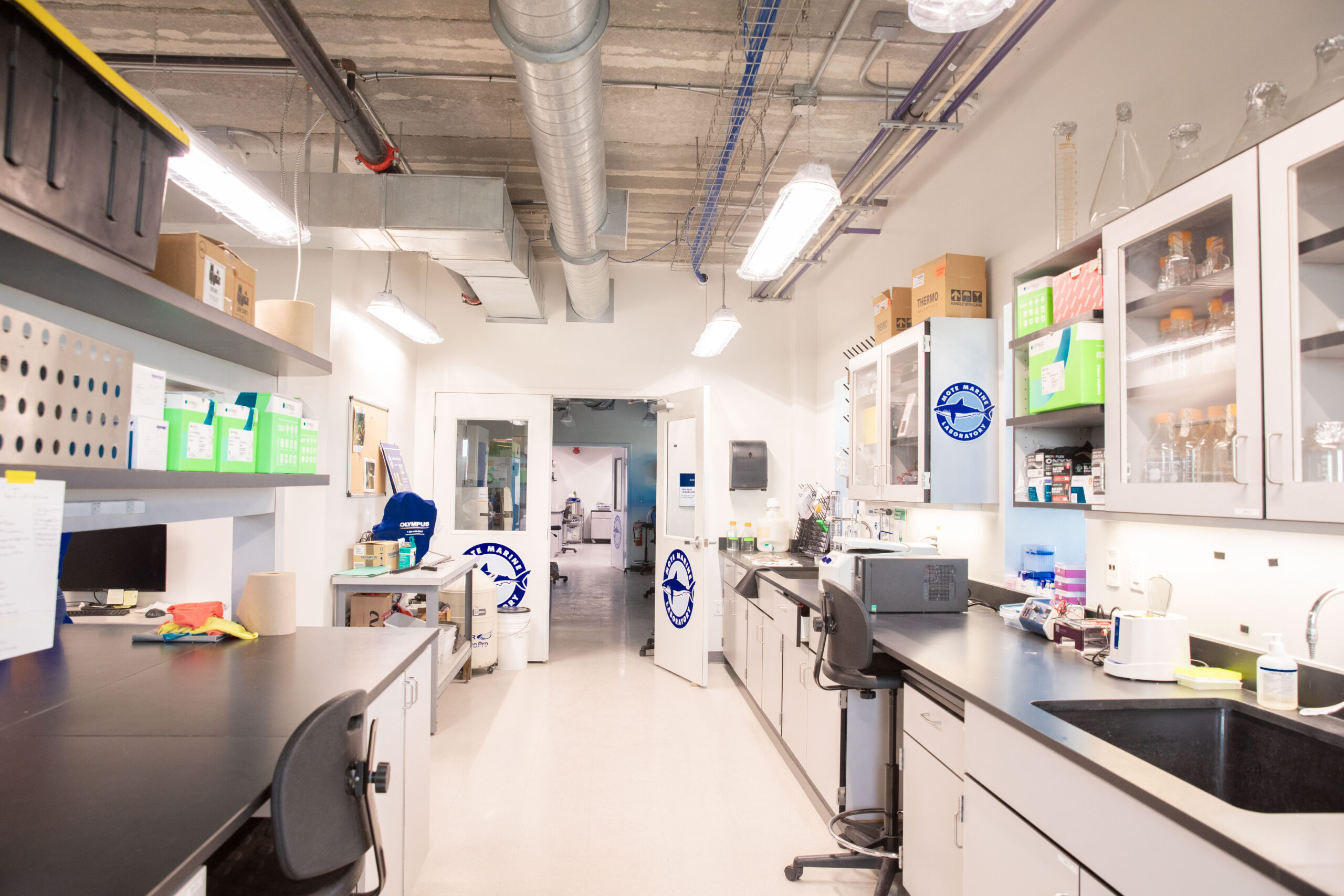 Image of a lab space with counters, cabinets and scientific equipment.