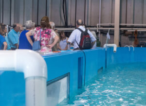 Visit | Mote Marine Laboratory & Aquarium