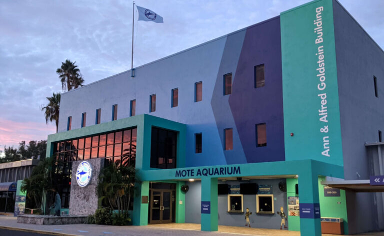 Mote Aquarium on City Island.